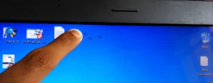 Ants Inside Laptop Screen