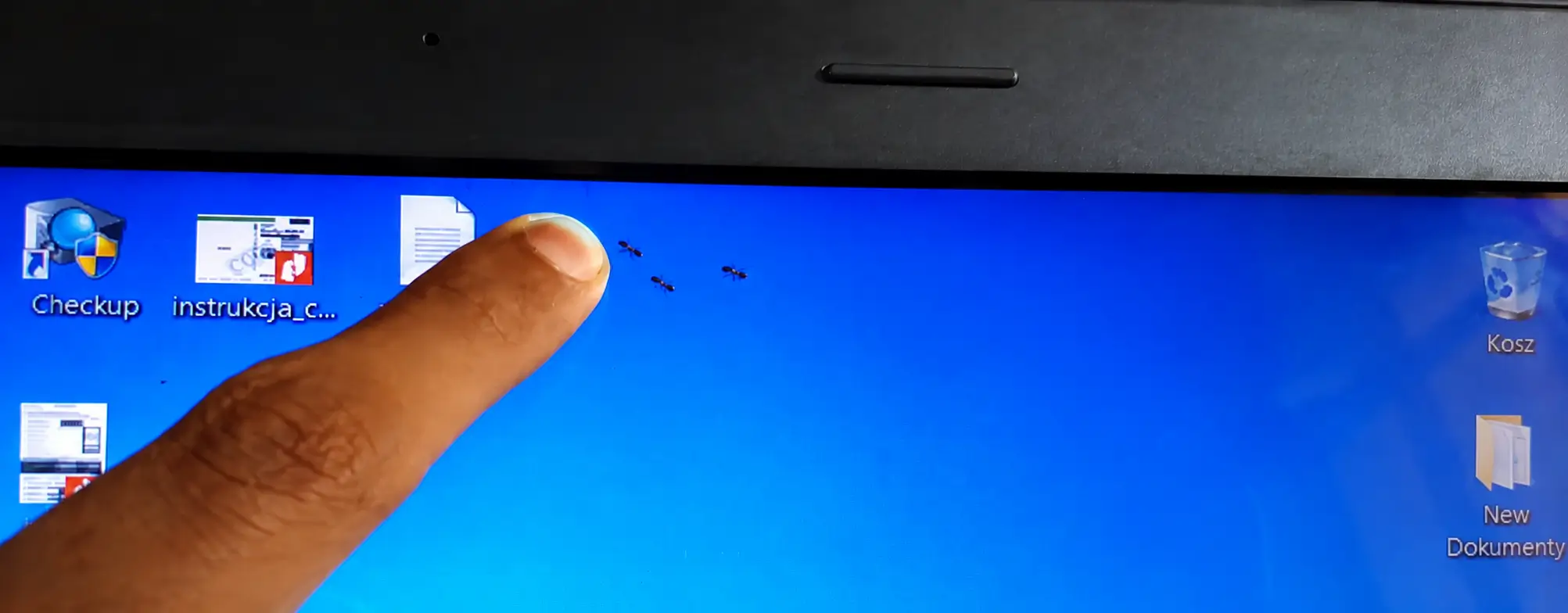 Ants Inside Laptop Screen